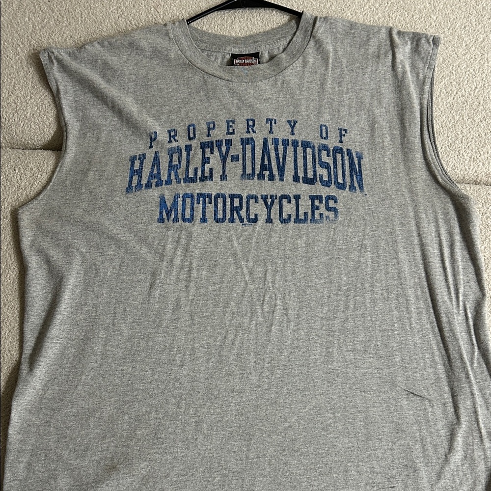Harley-Davidson Gray and Blue Men's Tank Top